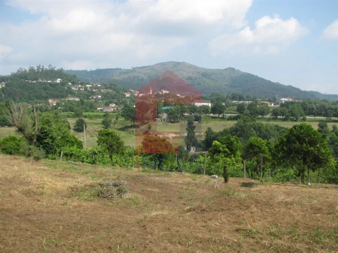 Quinta T13 para Venda em Coucieiro Foto 52