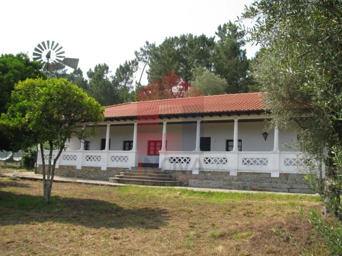 Quinta T13 para Venda em Coucieiro Foto 36