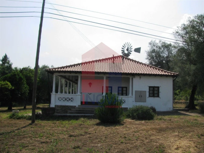 Quinta T13 para Venda em Coucieiro Foto 37