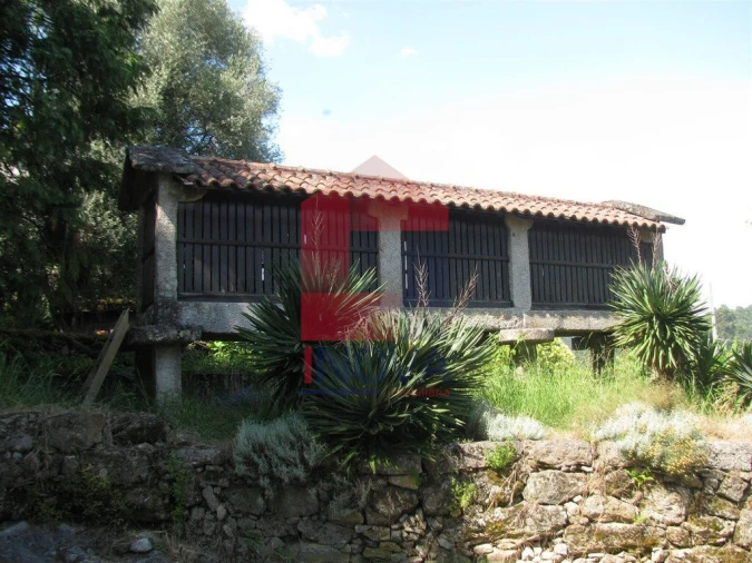 Quinta T13 para Venda em Coucieiro Foto 41