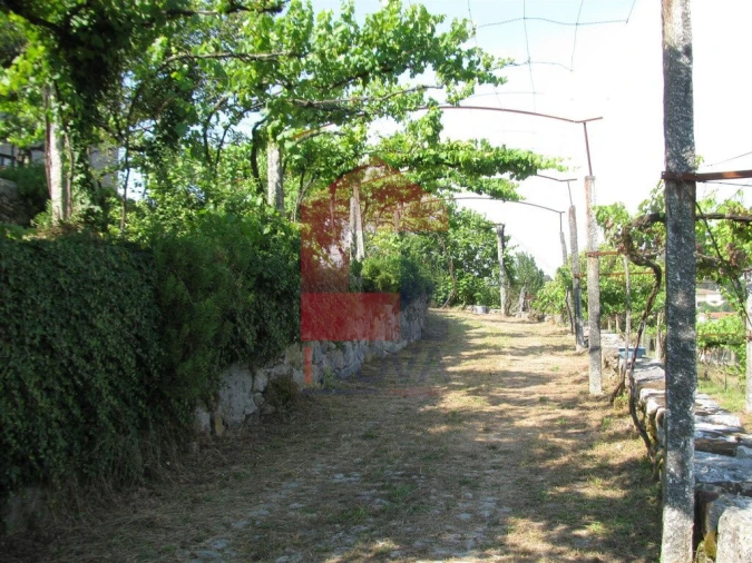 Quinta T13 para Venda em Coucieiro Foto 42