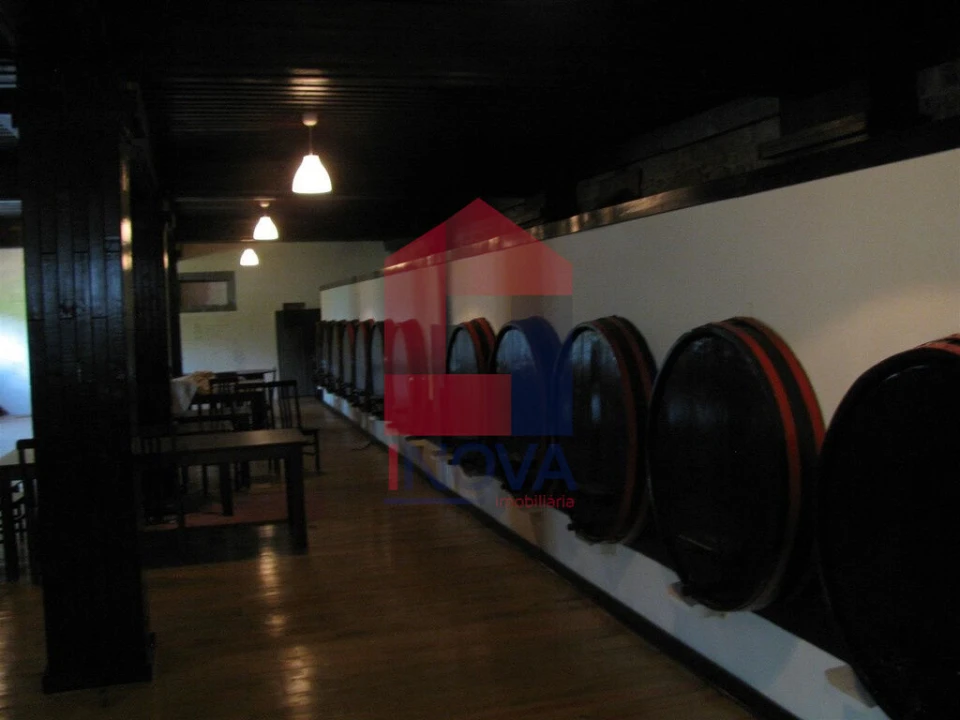 Quinta T13 para Venda em Coucieiro Foto 8