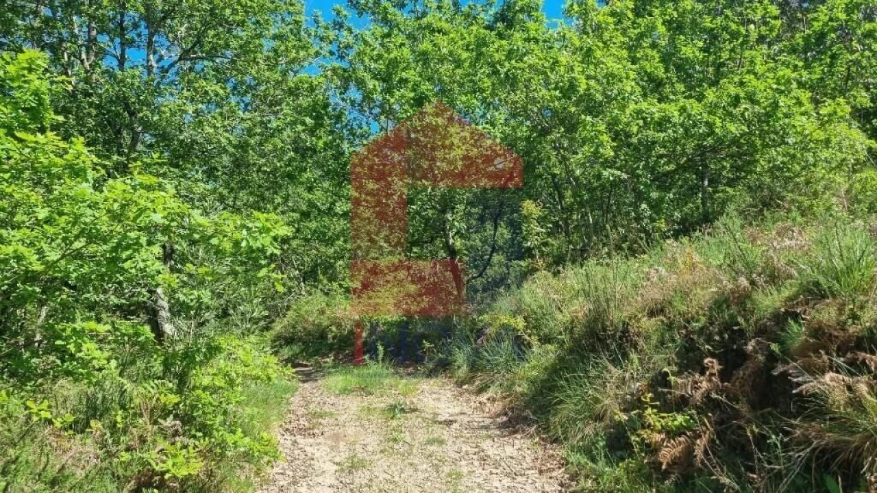 Terreno para Venda em Balança Foto 22