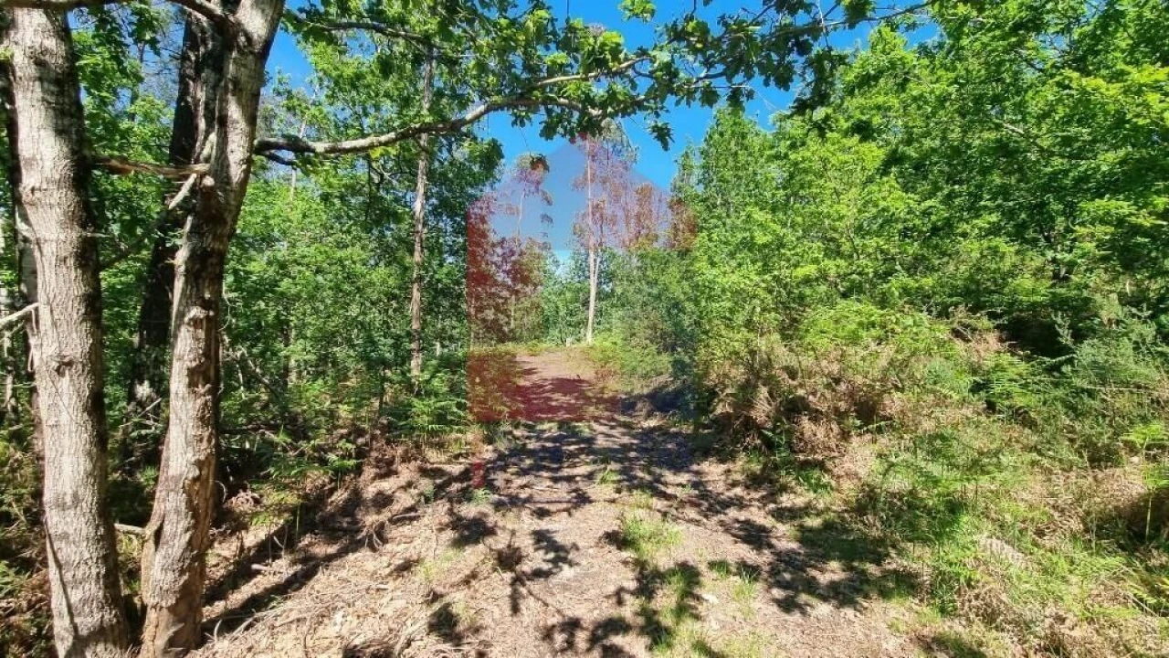 Terreno para Venda em Balança Foto 16
