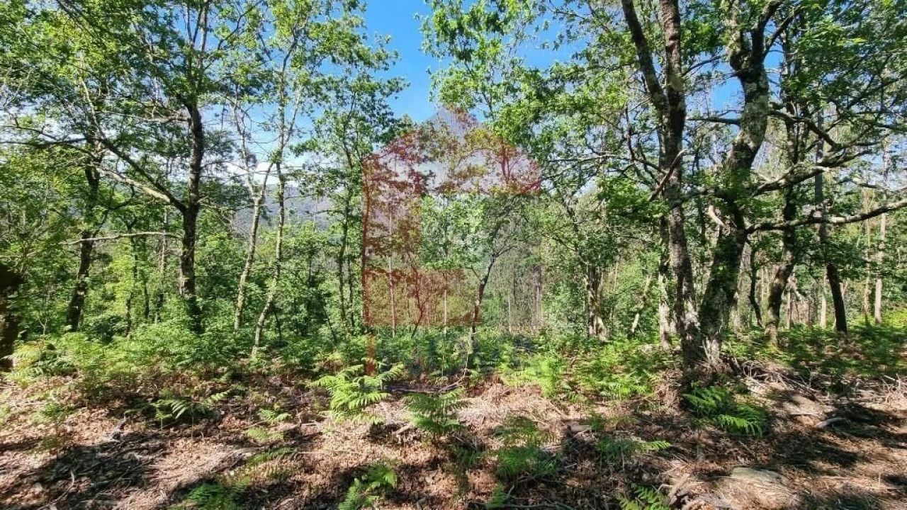 Terreno para Venda em Balança Foto 6