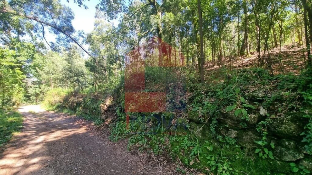 Terreno para Venda em Balança Foto 1