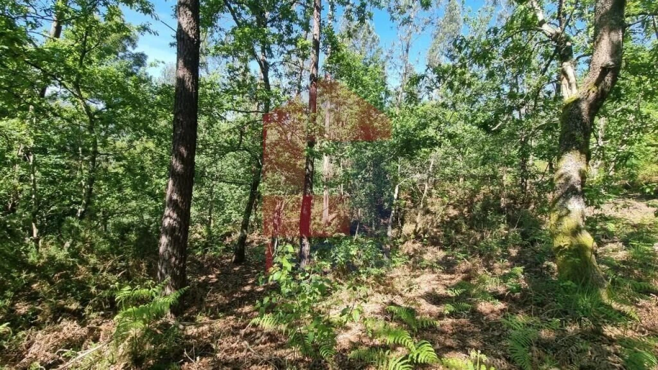 Terreno para Venda em Balança Foto 21