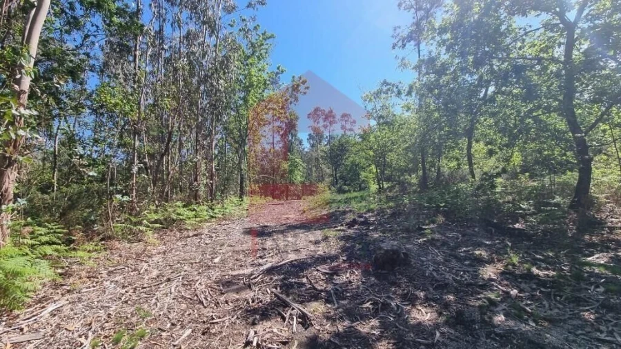 Terreno para Venda em Balança Foto 4