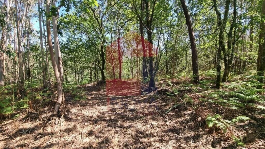 Terreno para Venda em Balança Foto 3