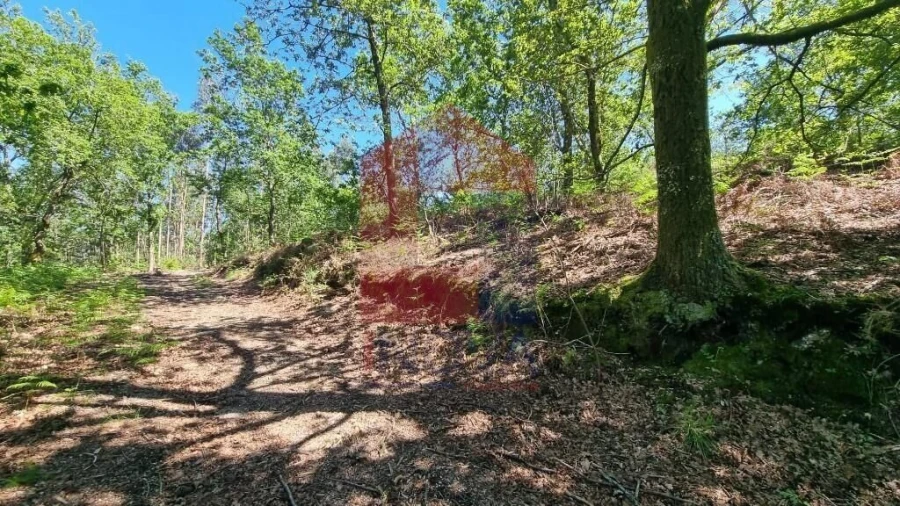 Terreno para Venda em Balança Foto 8