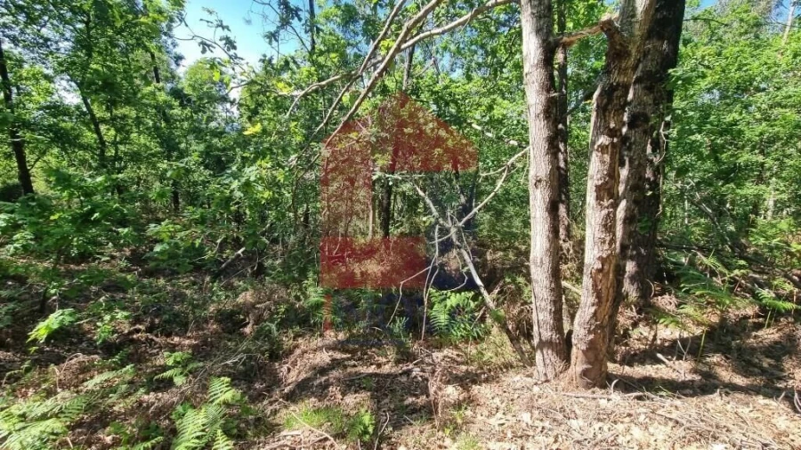 Terreno para Venda em Balança Foto 15
