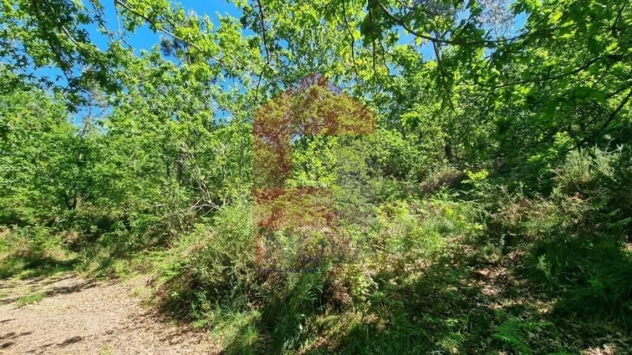 Terreno para Venda em Balança Foto 17