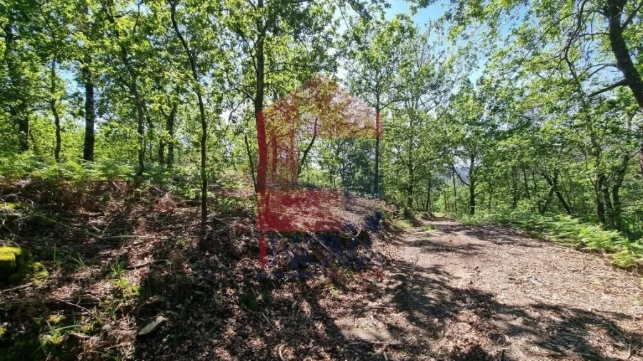 Terreno para Venda em Balança Foto 5