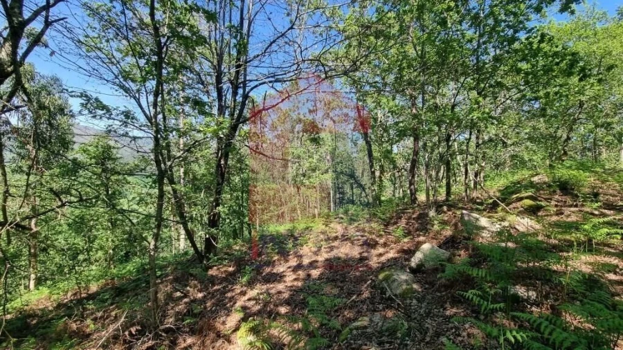 Terreno para Venda em Balança Foto 9
