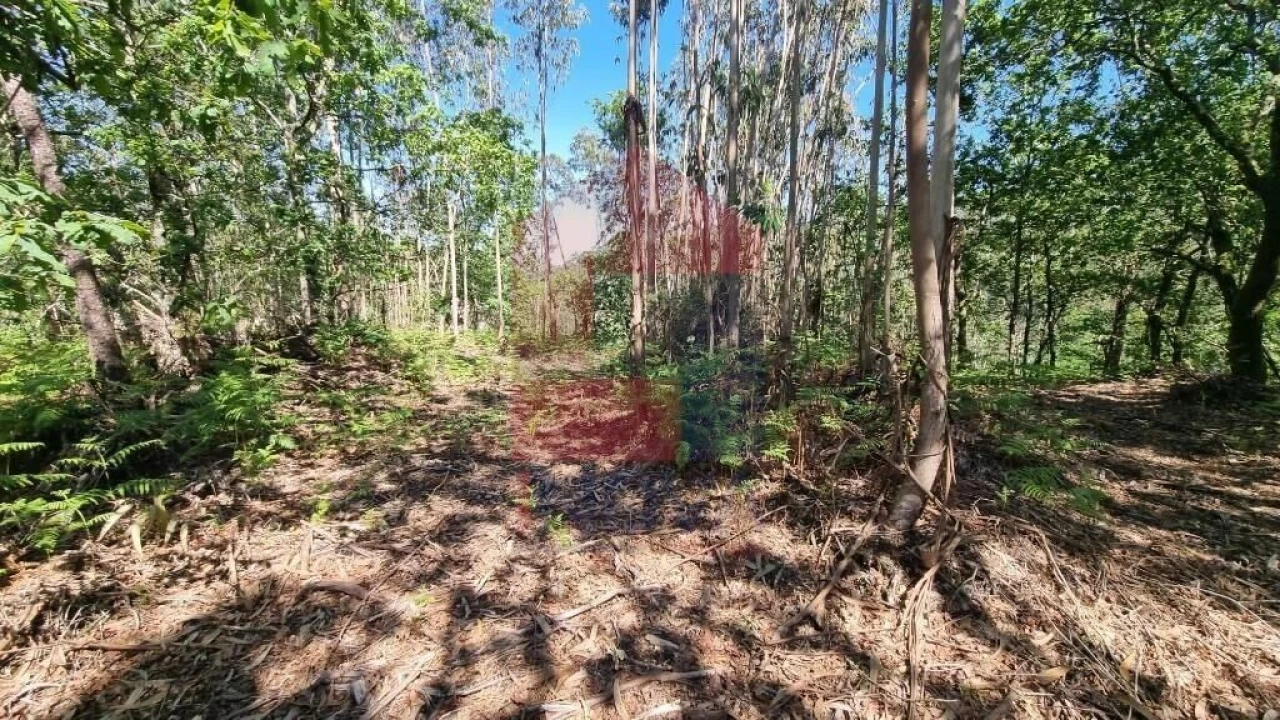 Terreno para Venda em Balança Foto 2
