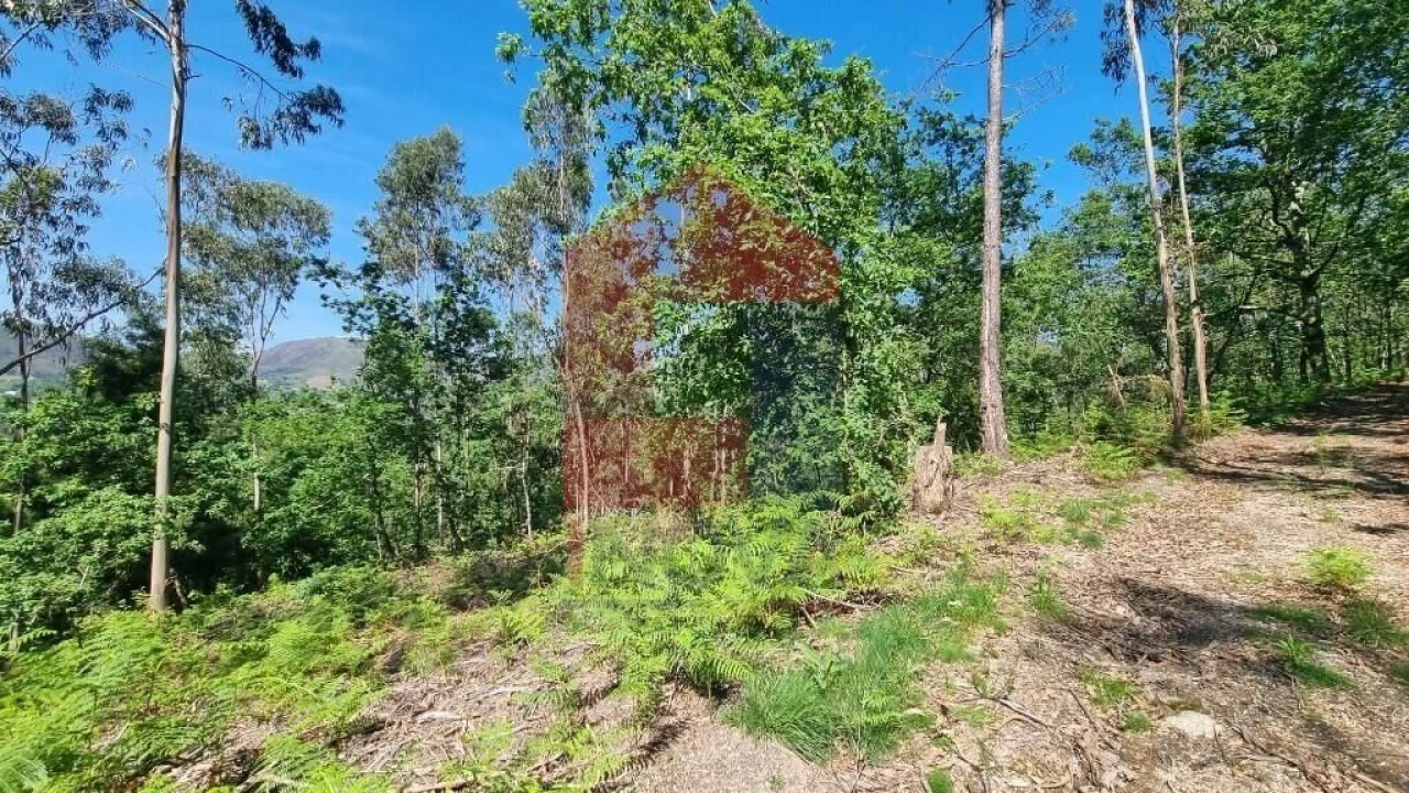 Terreno para Venda em Balança Foto 18