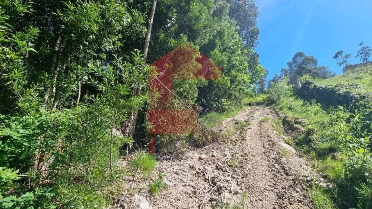 Terreno para Venda em Balança Foto 24