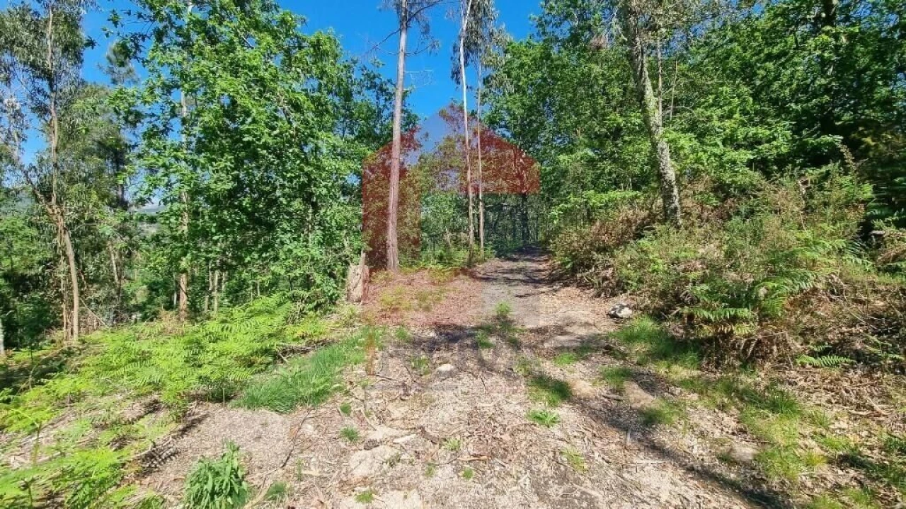 Terreno para Venda em Balança Foto 12