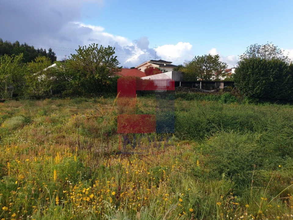 Terreno para Venda em Vila Verde e Barbudo Foto 5
