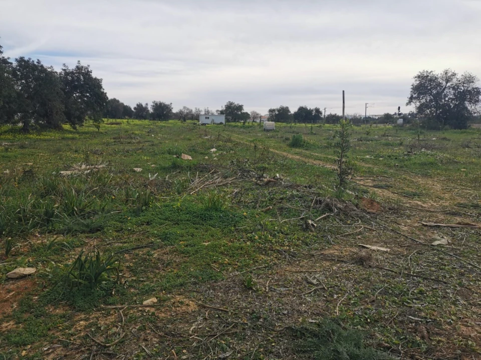 Terreno para Venda em Ferreiras Foto 31
