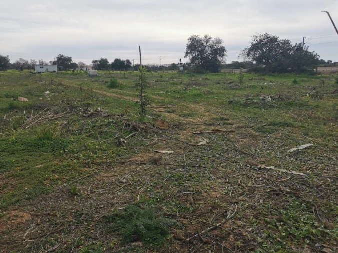 Terreno para Venda em Ferreiras Foto 30