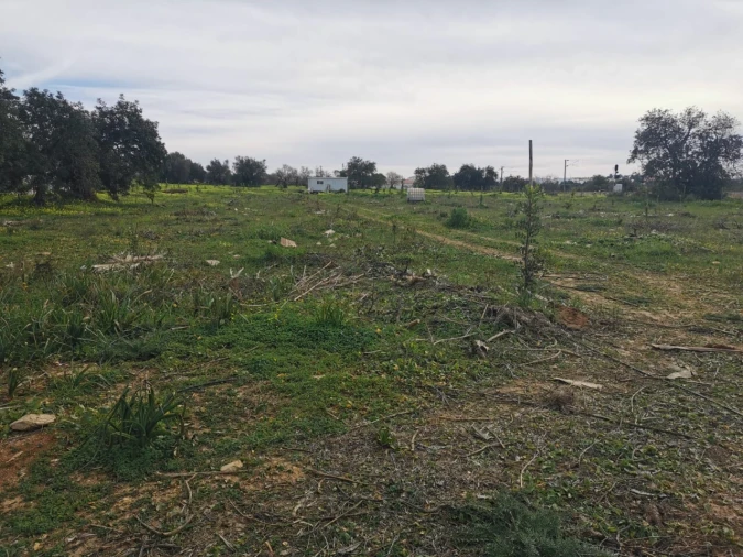 Terreno para Venda em Ferreiras Foto 31