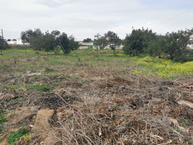 Terreno para Venda em Ferreiras Foto 32