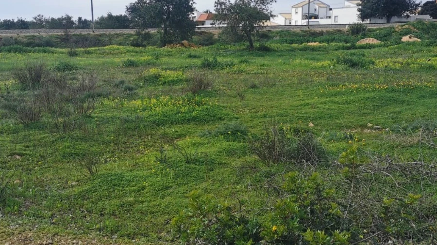 Terreno para Venda em Ferreiras