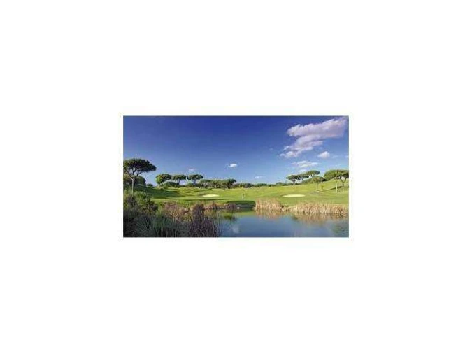 Terreno para Venda em Almancil Foto 2