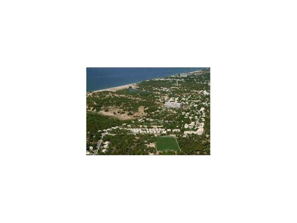 Terreno para Venda em Almancil Foto 1