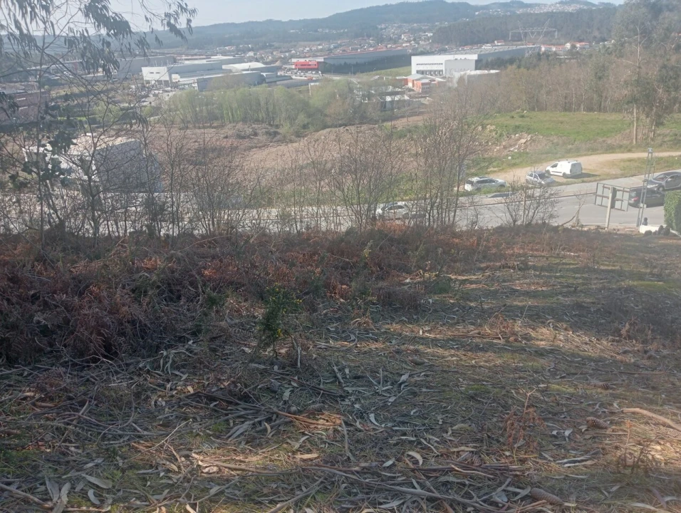 Terreno para Venda em Freamunde Foto 5