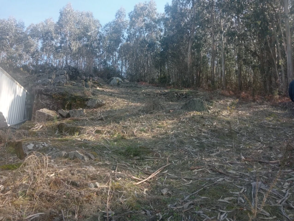 Terreno para Venda em Freamunde Foto 8