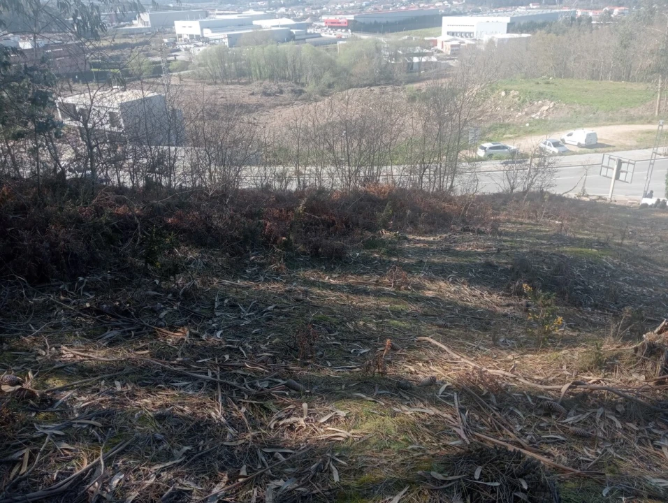 Terreno para Venda em Freamunde Foto 10