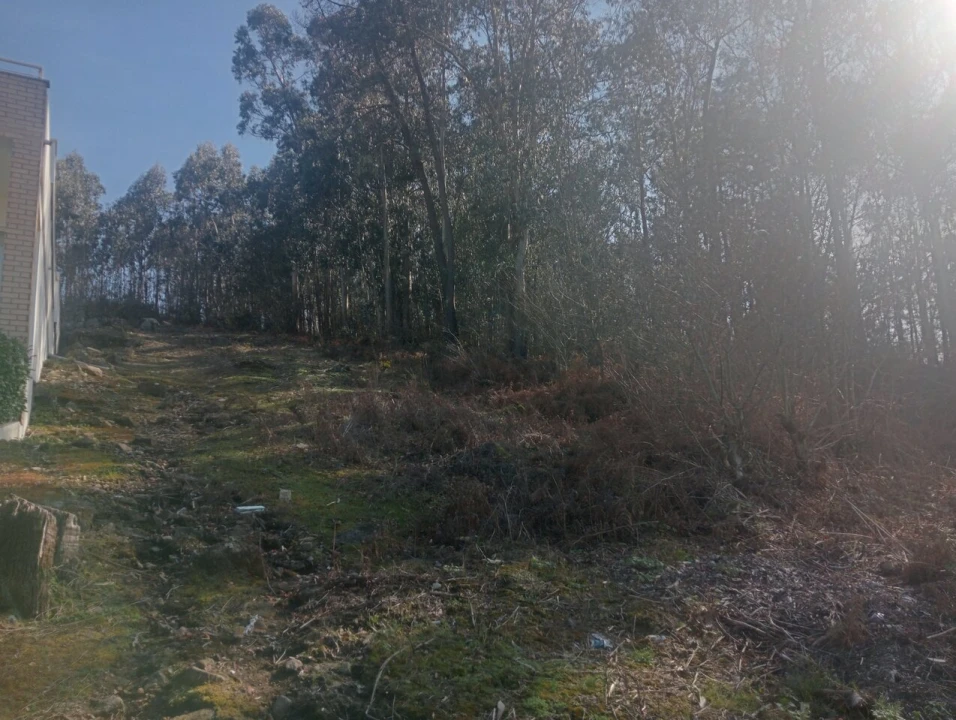 Terreno para Venda em Freamunde Foto 11