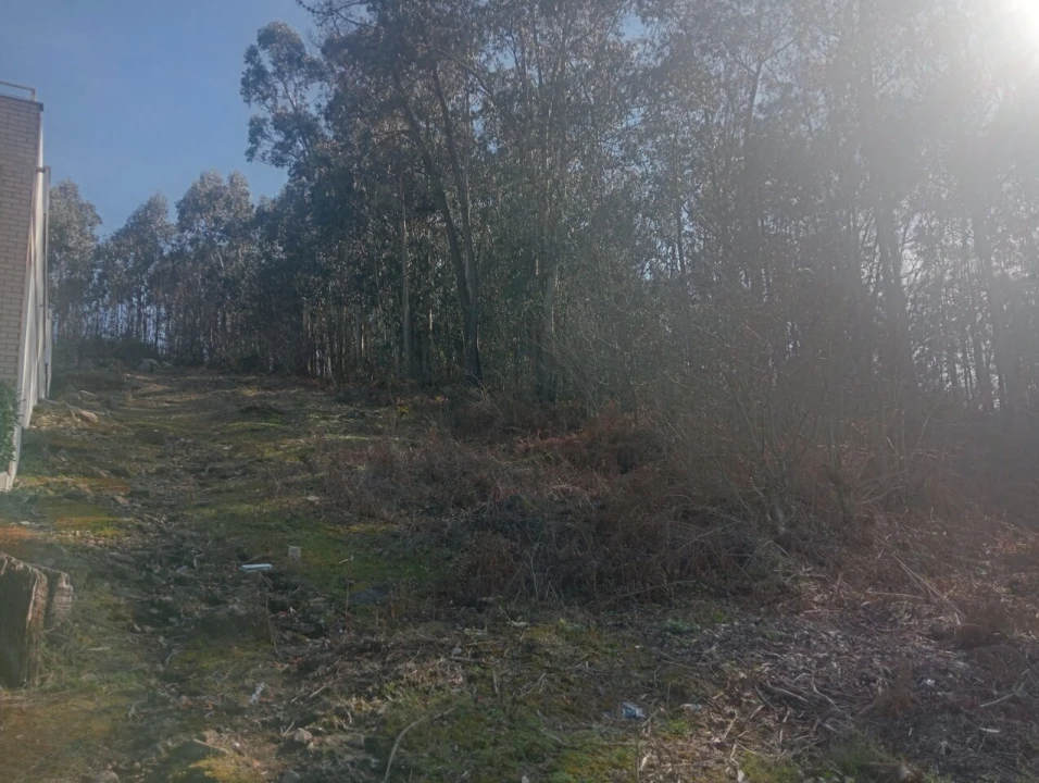Terreno para Venda em Freamunde Foto 12