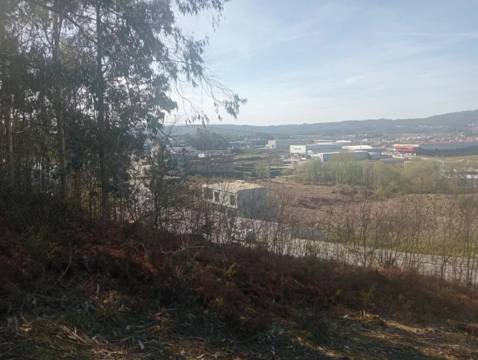 Terreno para Venda em Freamunde Foto 2