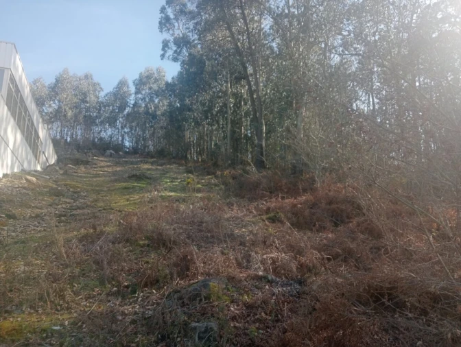 Terreno para Venda em Freamunde Foto 3