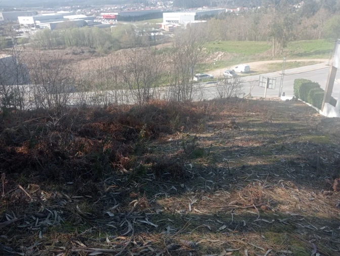 Terreno para Venda em Freamunde Foto 4