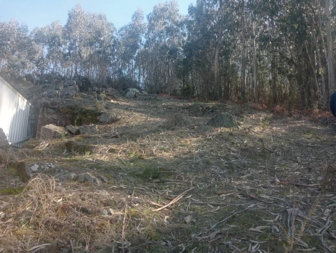 Terreno para Venda em Freamunde Foto 6