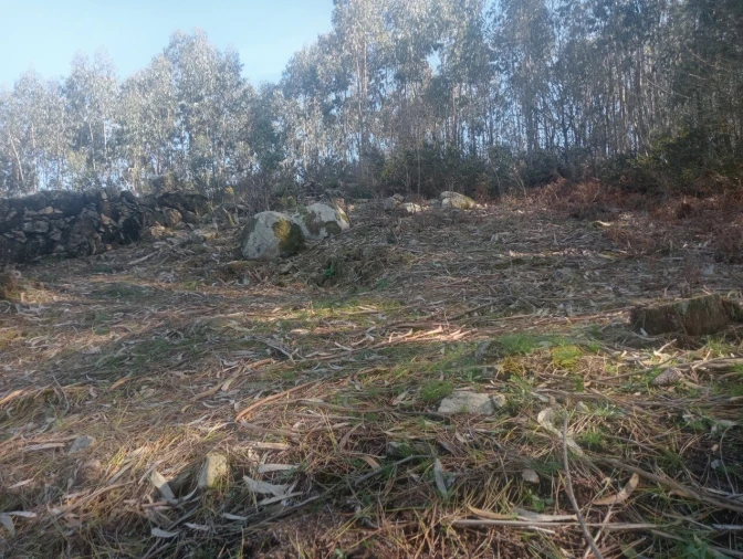 Terreno para Venda em Freamunde Foto 7