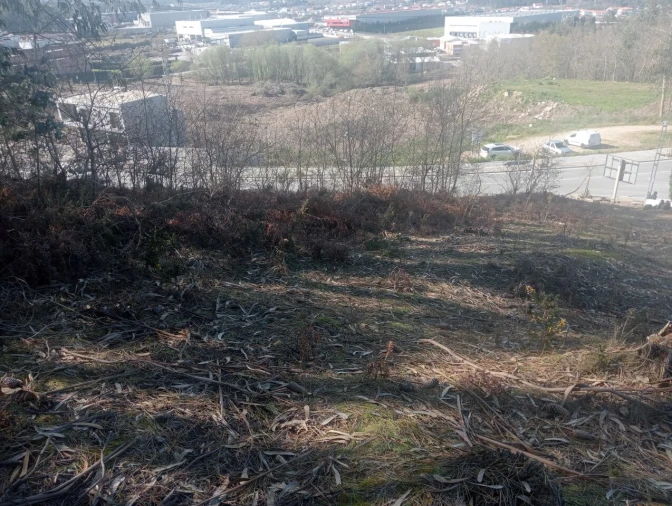 Terreno para Venda em Freamunde Foto 10
