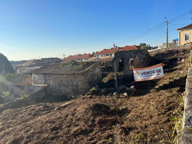 Terreno para Venda em Madalena Foto 4