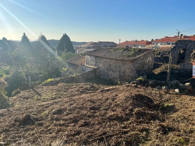 Terreno para Venda em Madalena Foto 8