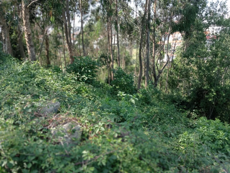 Terreno para Venda em Mafamude e Vilar do Paraíso Foto 11