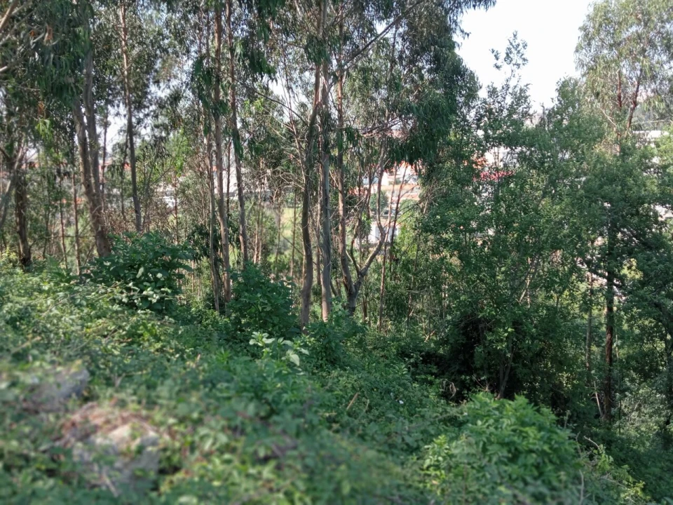 Terreno para Venda em Mafamude e Vilar do Paraíso Foto 12