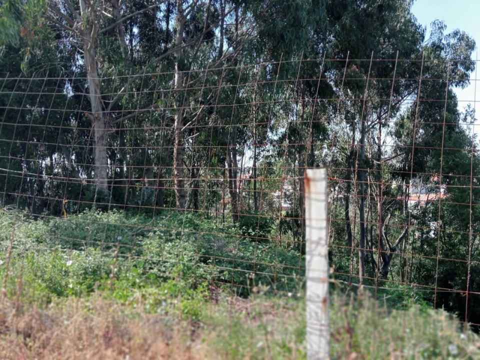 Terreno para Venda em Mafamude e Vilar do Paraíso Foto 15
