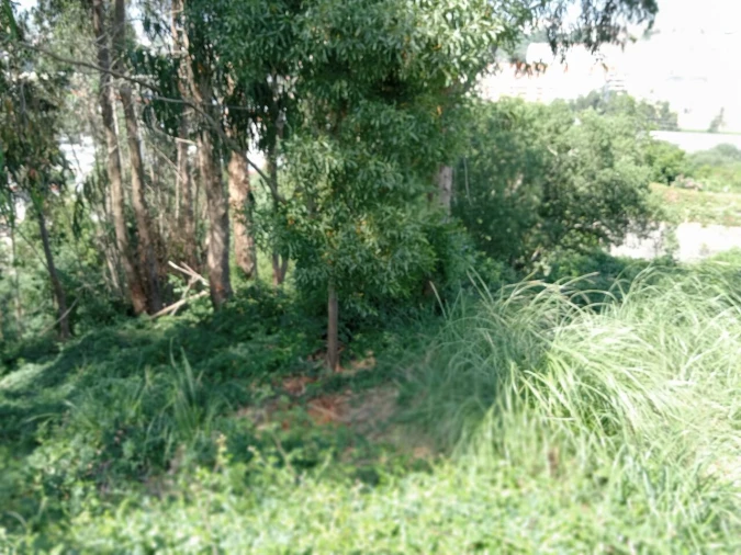 Terreno para Venda em Mafamude e Vilar do Paraíso Foto 10