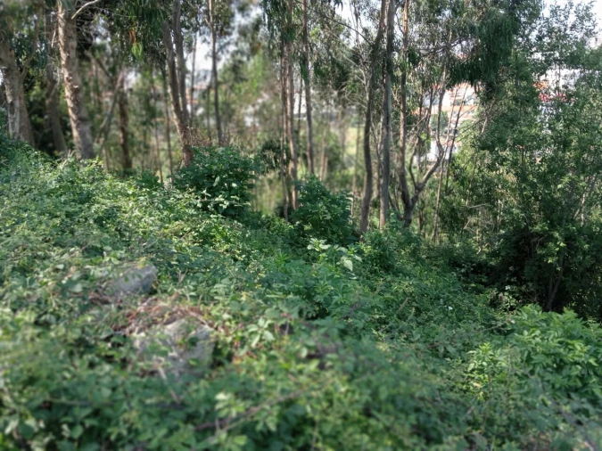 Terreno para Venda em Mafamude e Vilar do Paraíso Foto 11