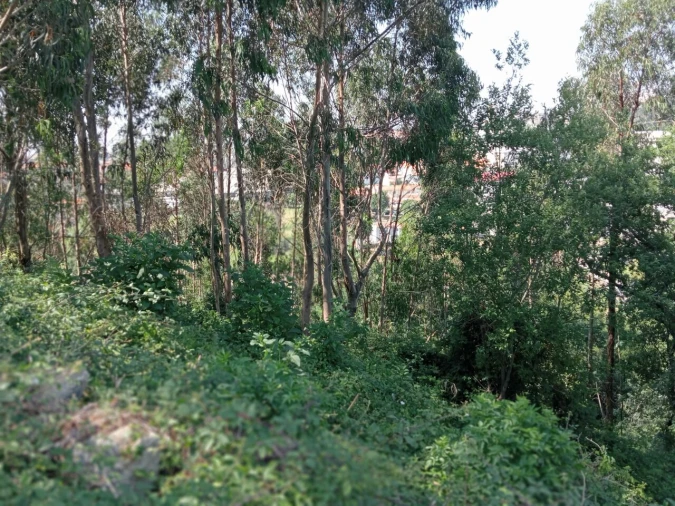 Terreno para Venda em Mafamude e Vilar do Paraíso Foto 12