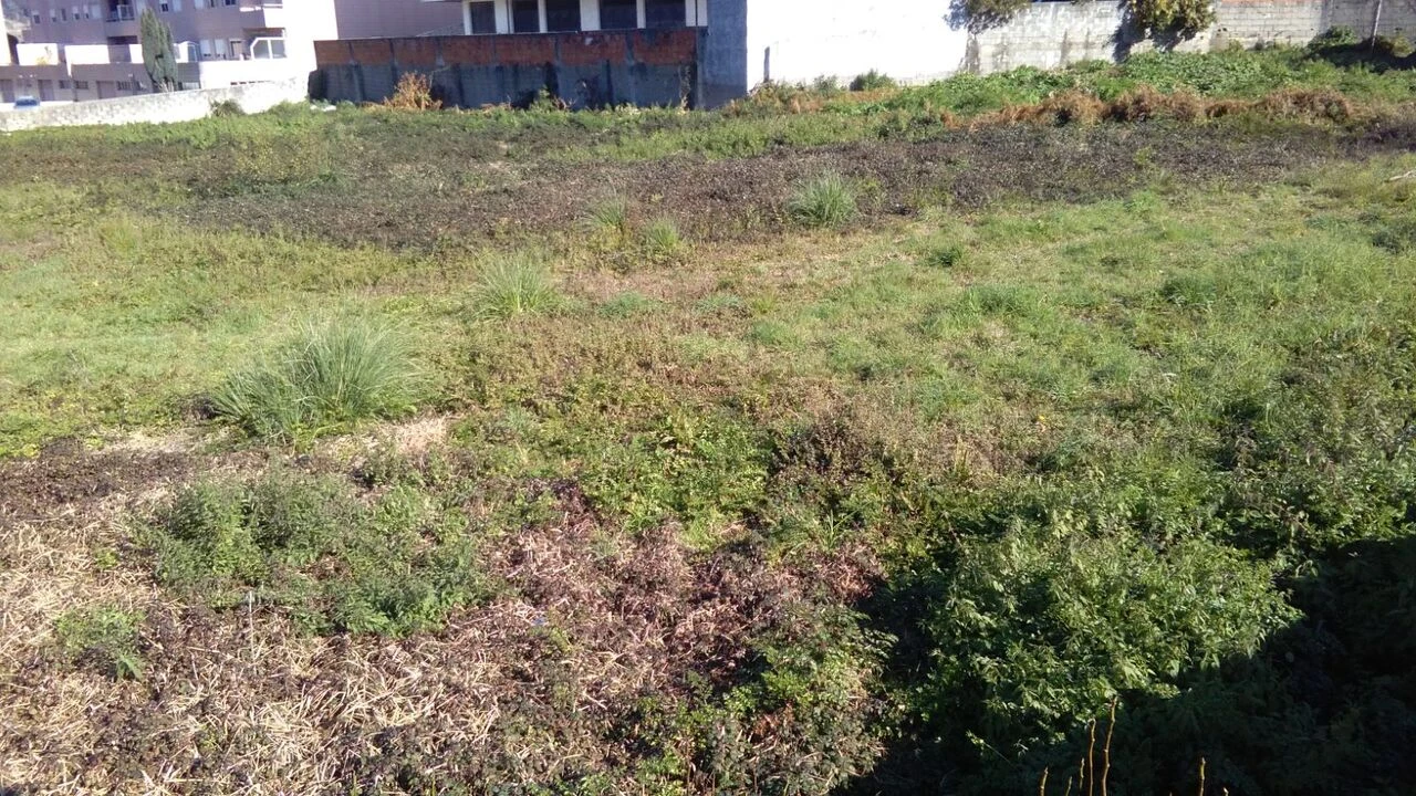 Terreno para Venda em Oliveira do Douro Foto 3